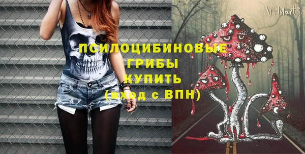 дурь Арсеньев