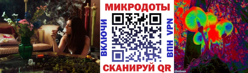 Псилоцибиновые грибы Psilocybine cubensis  Белёв 